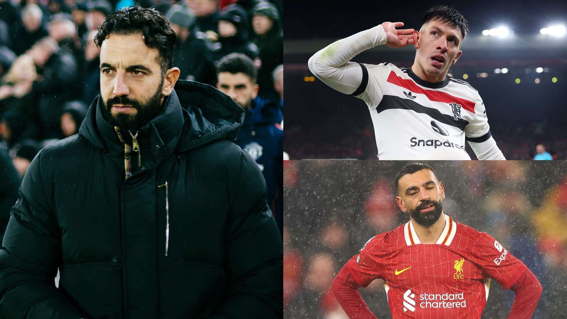 却未必能效 却未必能效